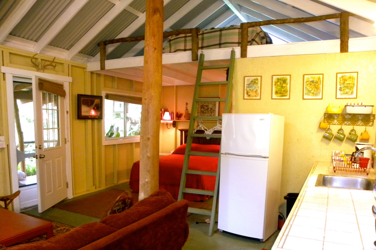 Carson's Mountain Cabin