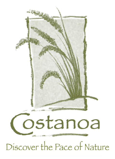 Costanoa Lodge and Resort