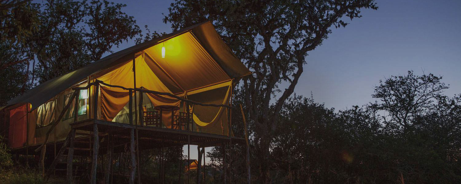Galapagos Safari Camp