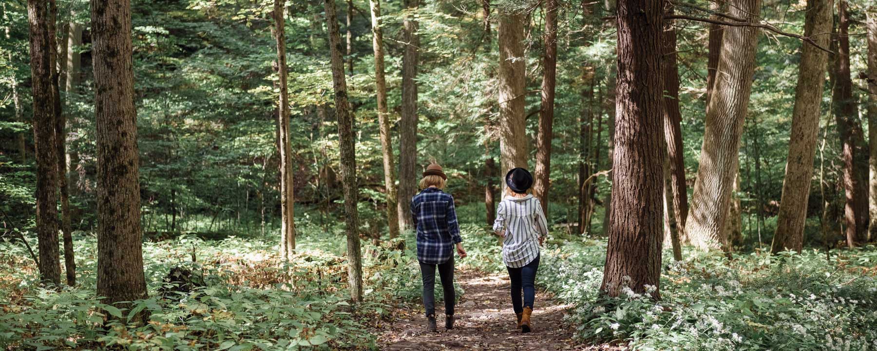 Ithaca By Firelight Camps In New York, United States