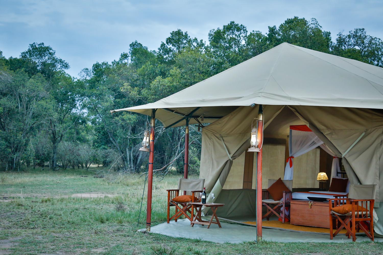 nemo tent 1p Equipment | Dragonfly OSMO | Ultralight Solo Tent | Birch Bud Fiamma F65S Dachmarkise 3,2m, Native to Asia not ounces Zipper Style:Inverted T Shape