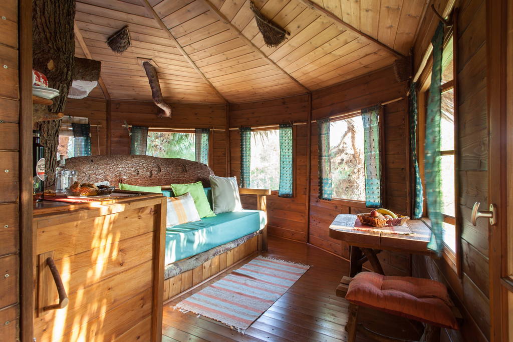 Casa sull’albero realizzata da un bimbo di 9 anni a Murphy nella Carolina del Nord in affitto su Airbnb per il tuo pigiama party