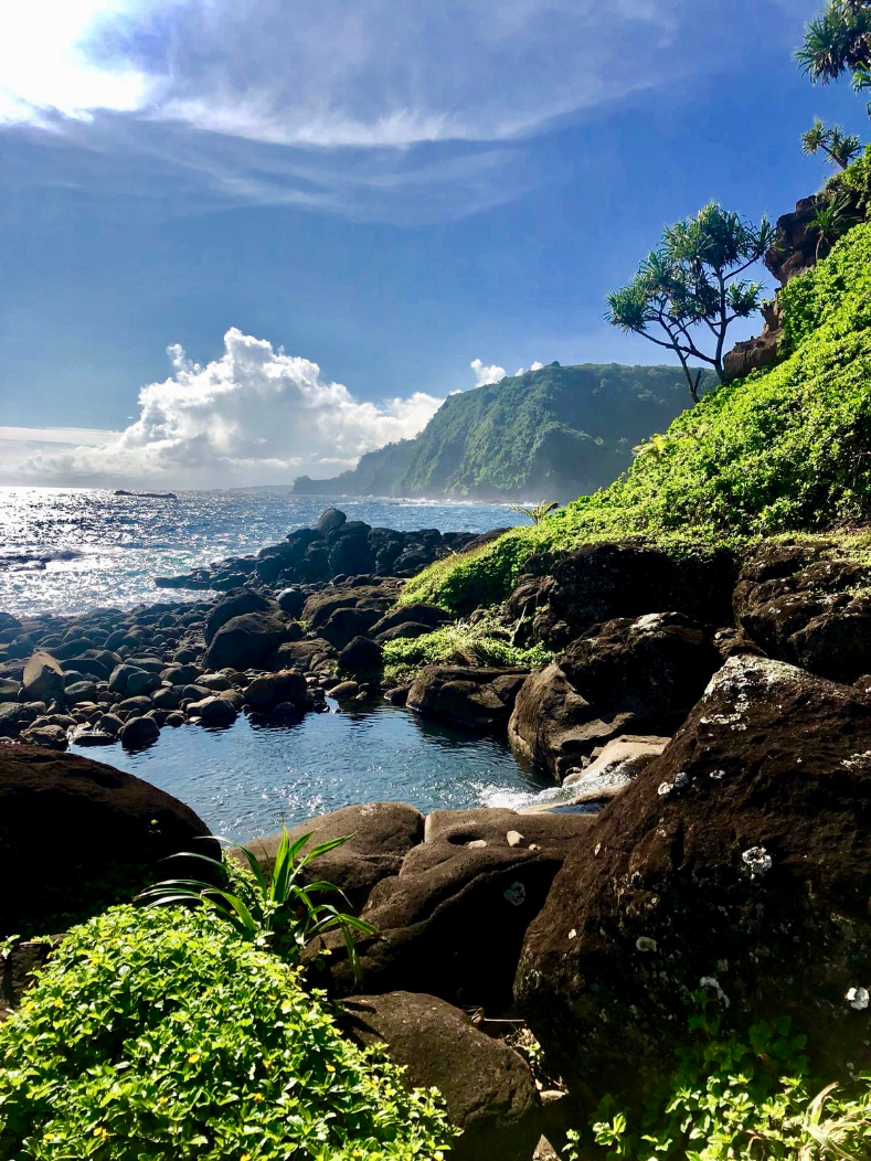 Maui Eco Retreat