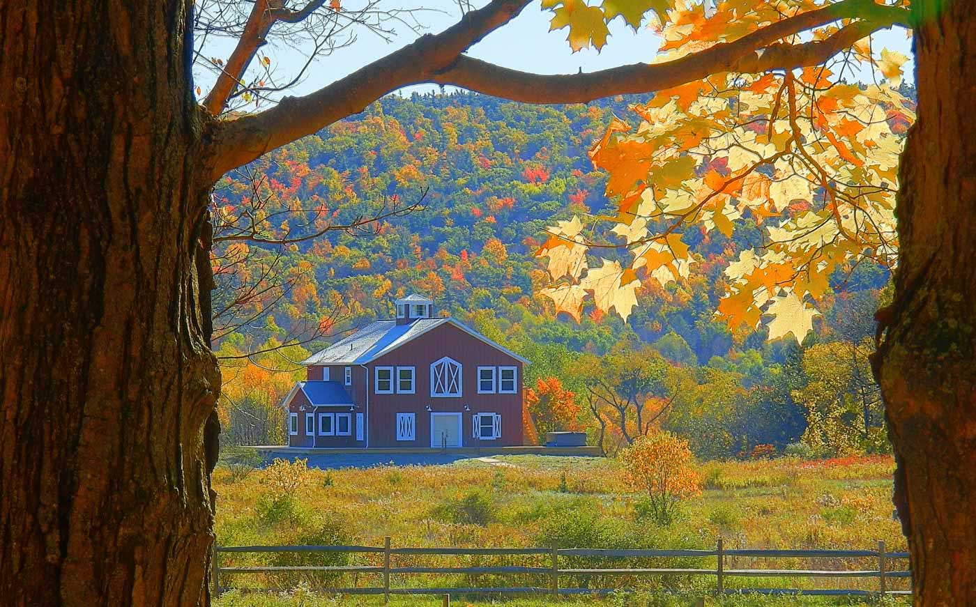 Types of Glamping