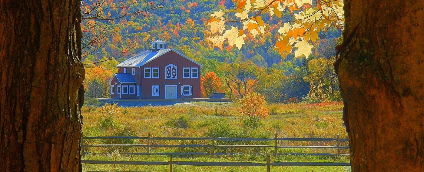 Mountain Horse Farm