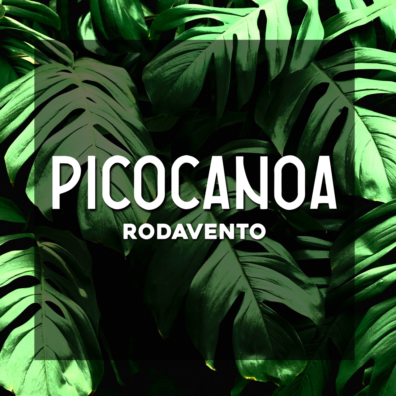 PicoCanoa Rodavento
