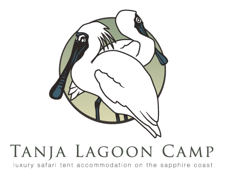 Tanja Lagoon Camp