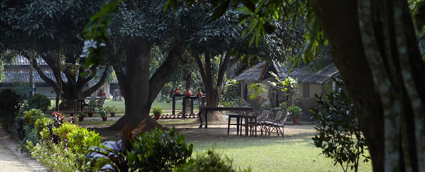 Tiger Tops Tharu Lodge