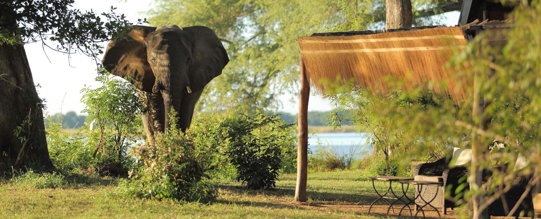 Time + Tide Chongwe River Camp