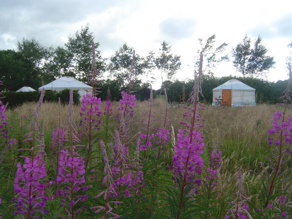 Emerald Glamping