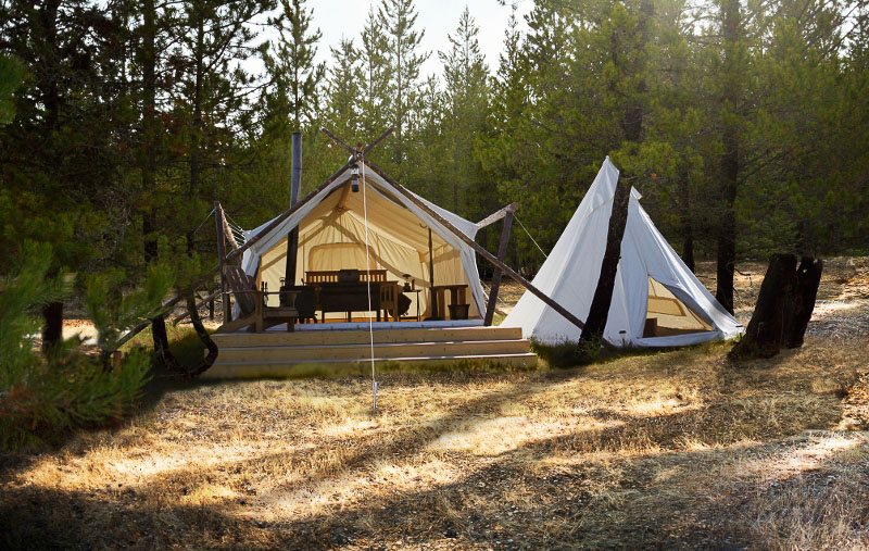 Under Canvas Glacier In Montana, United States