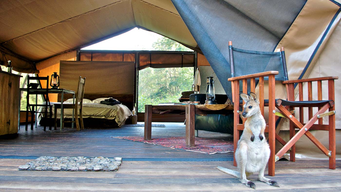 Nightfall Wilderness Camp In Queensland Australia Glamping Com